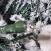 Picture of Christmas Tree - 6.5 ft Artificial