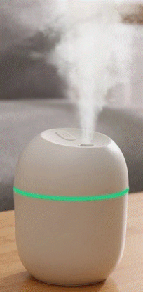 Picture of Humidifier - Dual Spray USB