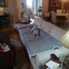 Picture of Pet Couch Covers